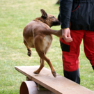 DSC04431_JPG-1301243161