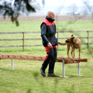 DSC04433_JPG-1301243172
