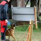 DSC04434_JPG-1301243179