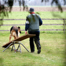 DSC04441_JPG-1301243204