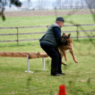 DSC04442_JPG-1301243210