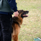 DSC04445_JPG-1301243220