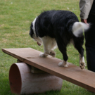 DSC04448_JPG-1301243235