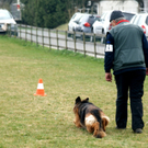 DSC04456_JPG-1301243274