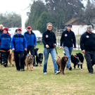 DSC04470_JPG-1301243347