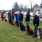 DSC04473_JPG-1301243362
