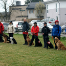 DSC04479_JPG-1301243380
