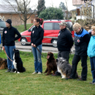 DSC04480_JPG-1301243388