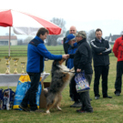 DSC04485_JPG-1301243411