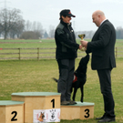 DSC04487_JPG-1301243422