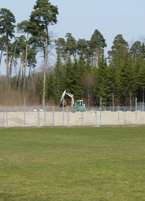 P3253604.jpg