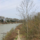 IMG_0466_JPG-1301254512