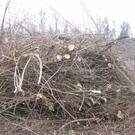 IMG_9625_JPG-1301254564