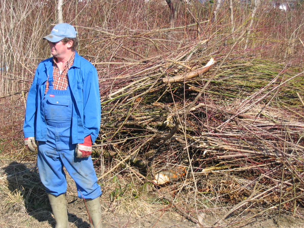 IMG_9647_JPG-1301254784