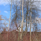 IMG_9635_JPG-1301254640