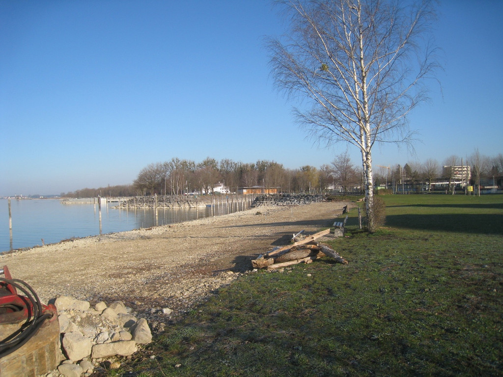 Baggerarbeiten am Landesteg _25__jpg-1301256356