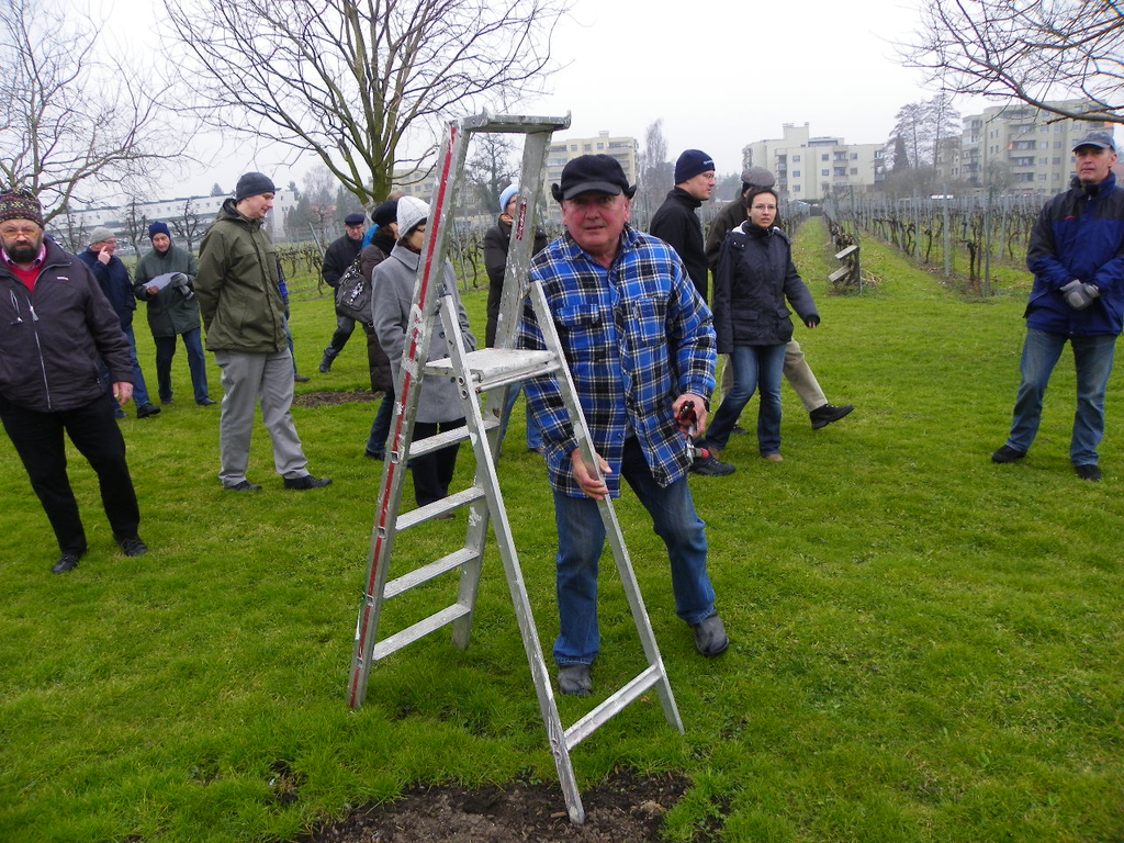 109_5826_JPG-1301266197