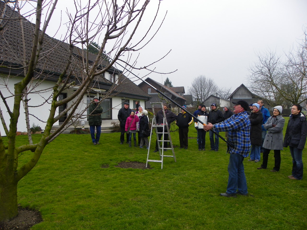 109_5831_JPG-1301266205