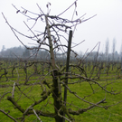 109_5838_JPG-1301266228