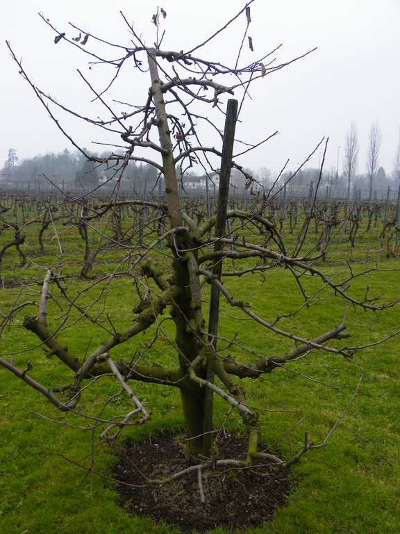 109_5838_JPG-1301266228