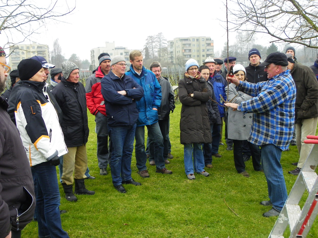 109_5843_JPG-1301266243