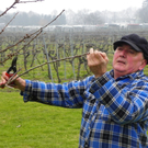 109_5845_JPG-1301266250