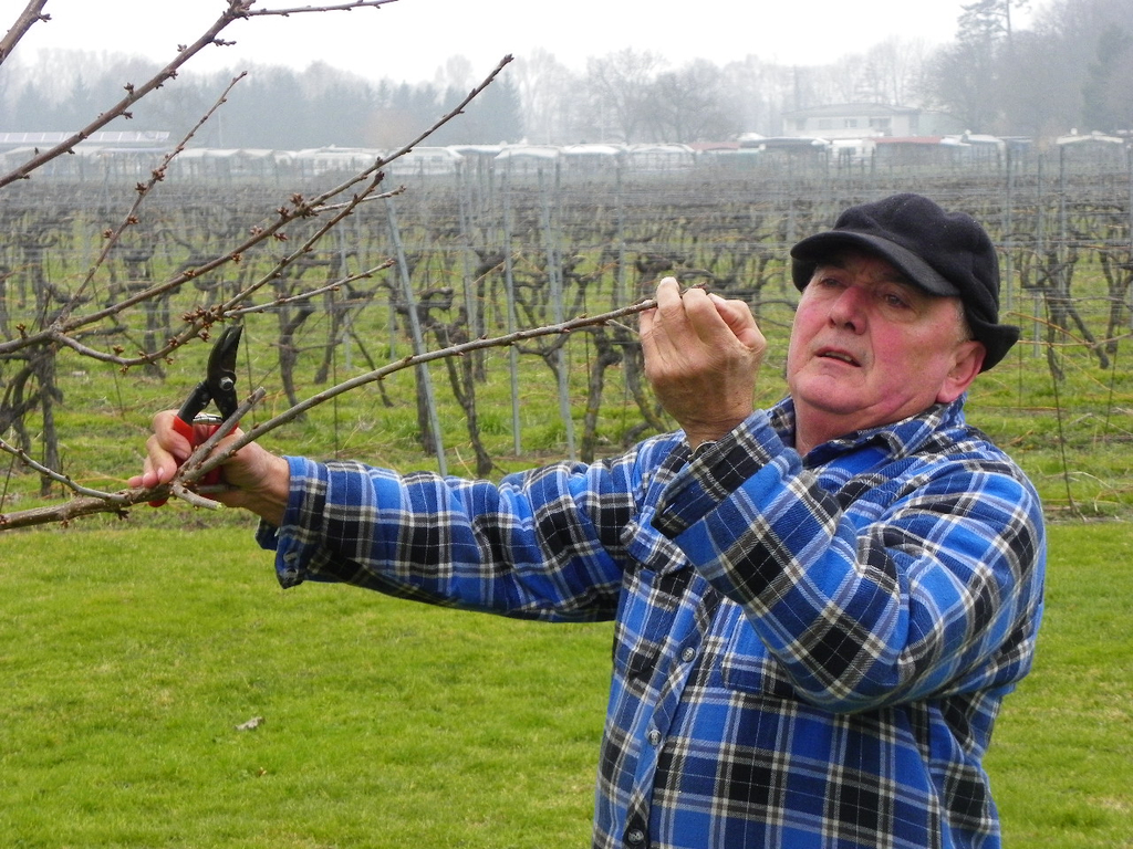 109_5845_JPG-1301266250