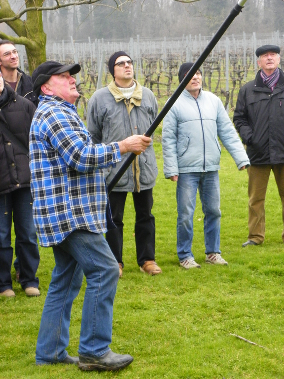 109_5849_JPG-1301266258