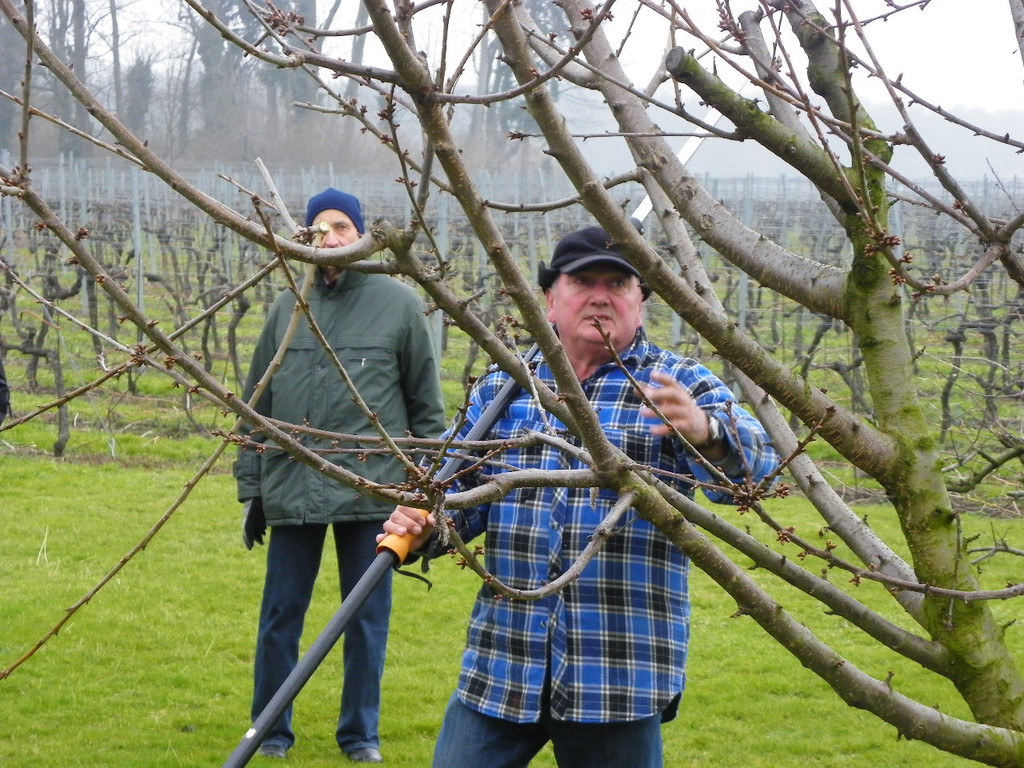 109_5850_JPG-1301266265