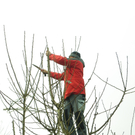 109_5881_JPG-1301266273