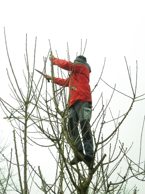 109_5881_JPG-1301266273