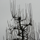 109_5912_JPG-1301266282