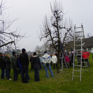 109_5917_JPG-1301266289