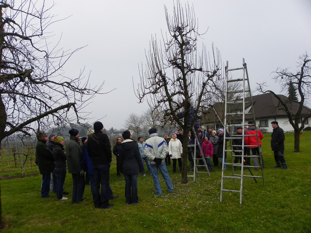 109_5917_JPG-1301266289