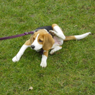 109_5930_JPG-1301267361