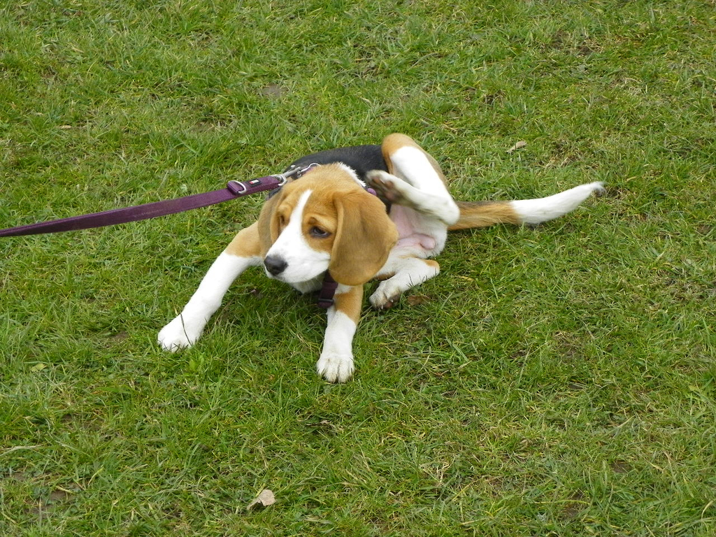 109_5930_JPG-1301267361