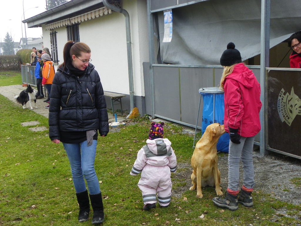 109_5936_JPG-1301267368