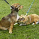 109_5949_JPG-1301267391