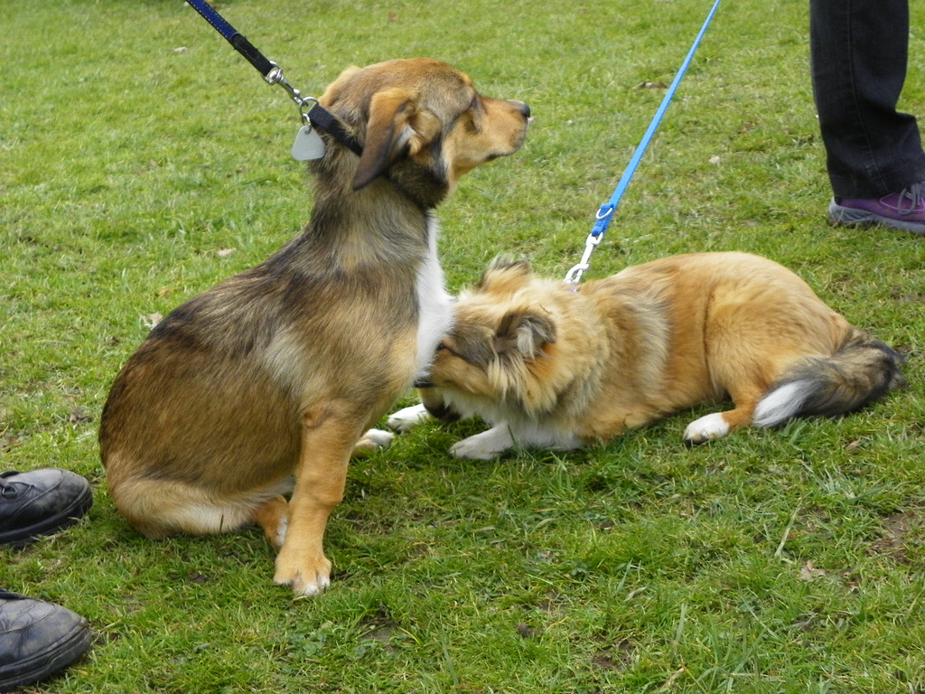 109_5949_JPG-1301267391