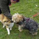 109_5963_JPG-1301267398