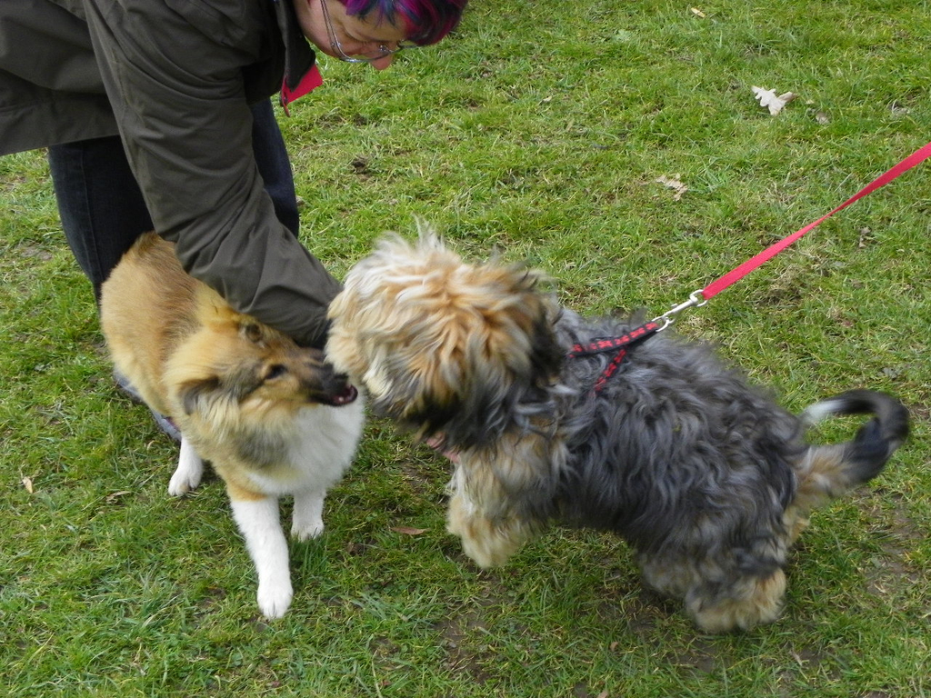 109_5963_JPG-1301267398