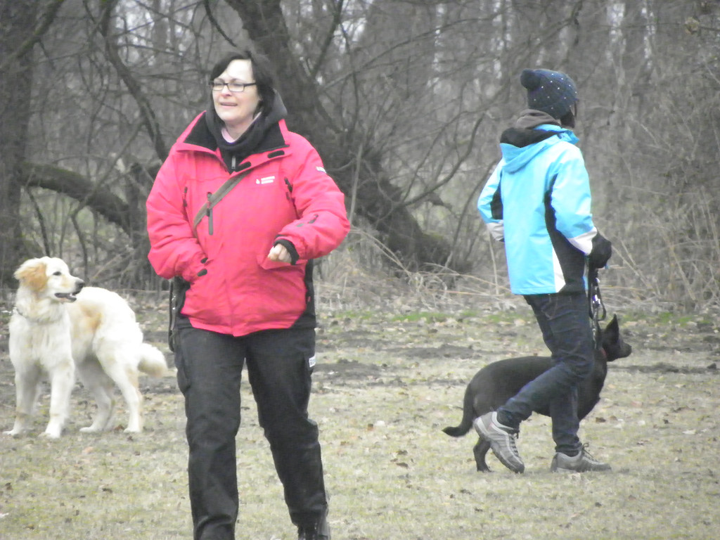 109_5972_JPG-1301267414