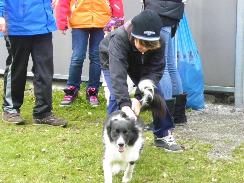 109_5978_JPG-1301267421