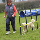 109_6004_JPG-1301267445