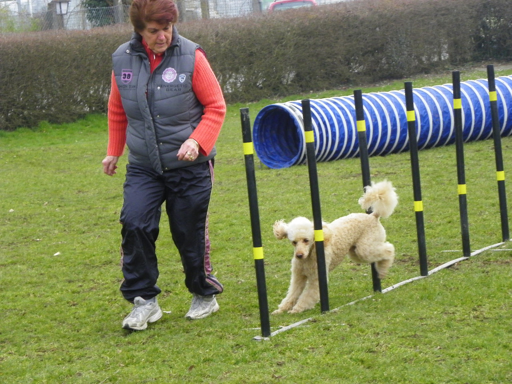 109_6004_JPG-1301267445