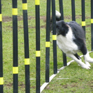 109_6047_JPG-1301267467