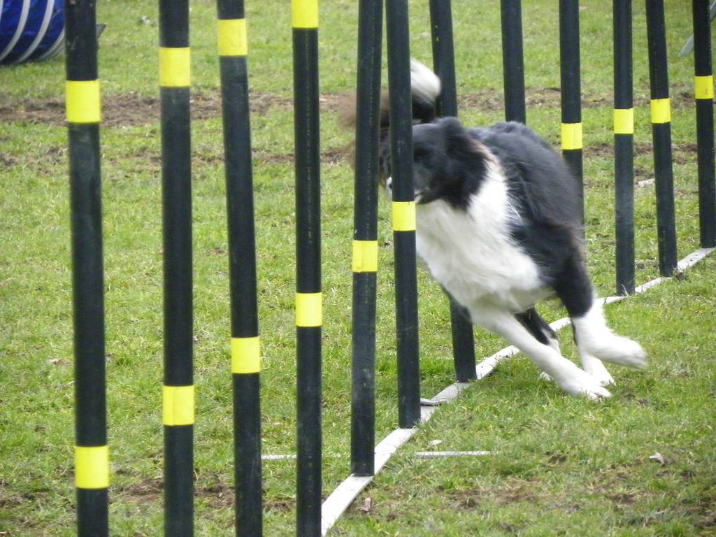 109_6047_JPG-1301267467