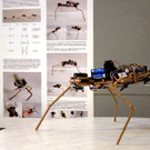 RoboChallenge 2011 in Wien