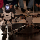 robo-006.jpg