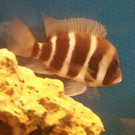 HP 06_JPG-1301323071